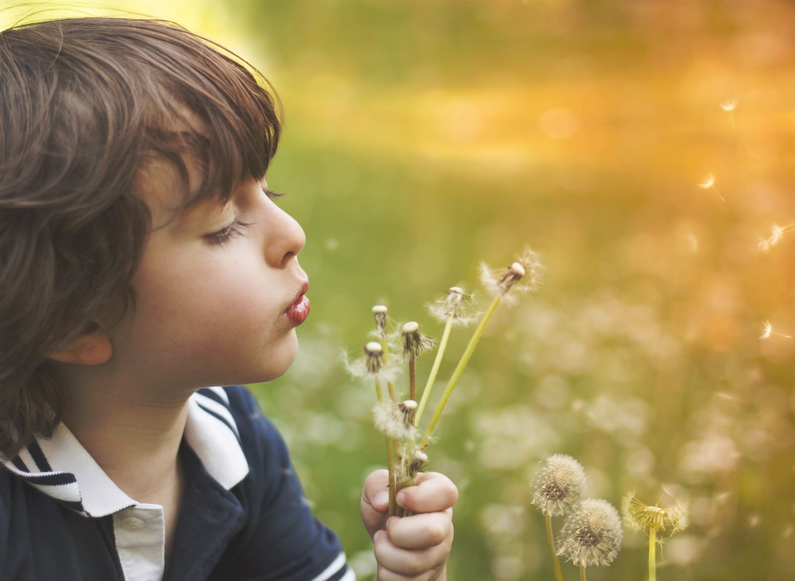A child joyfully blowing dandelion seeds in a sunlit meadow